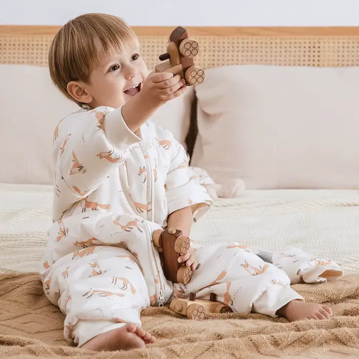 Sac de Couchage à Manches Perfectes pour Bébé de 1 à 4 Ans, Vêtements de Nuit Chauds d'Hiver avec Fe