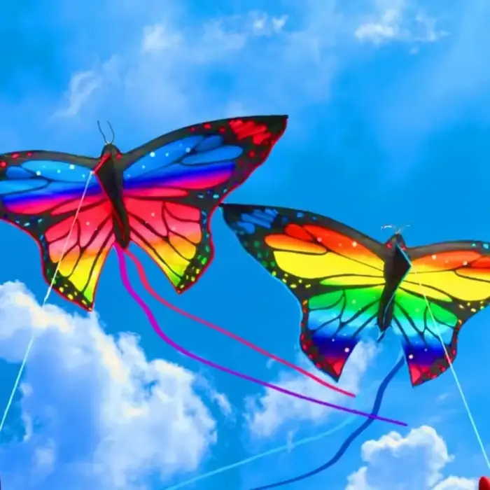 Cerf-volant papillon coloré