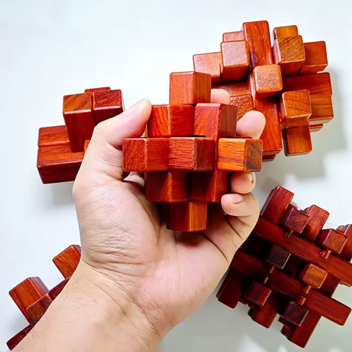 Jouets en bois de haute qualité, casse-tête Lu Ban Lock, puzzle d'éveil, déverrouillage par emboîtement, défi logique d'intelligence, cadeaux éducatifs stimulants pour adultes