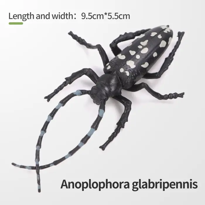 Ensemble de figurines d'insectes et d'animaux sauvages éducatives - Araignée, papillon, escargot - J