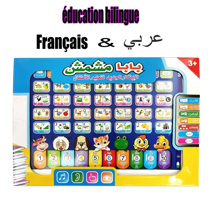 Machine de lecture arabe française et anglaise, Machine d'apprentissage des mots, tablette, jouets, 