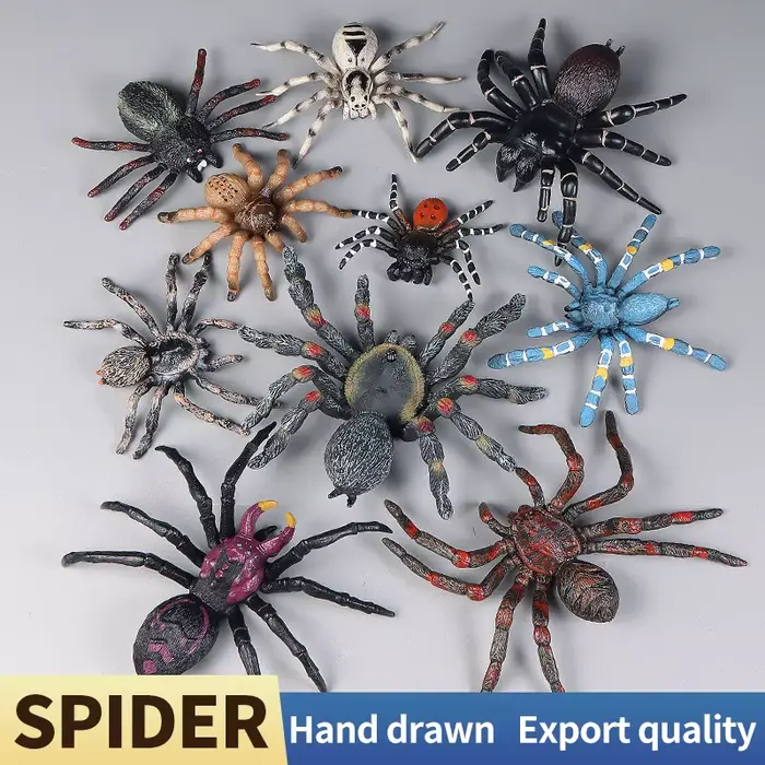 Jouets éducatifs d'araignées et d'insectes, ensemble de figurines d'action du Zoo, modèle d'apprentissage cognitif des sciences du monde animal, décor de Simulation pour enfants occasions spéciales