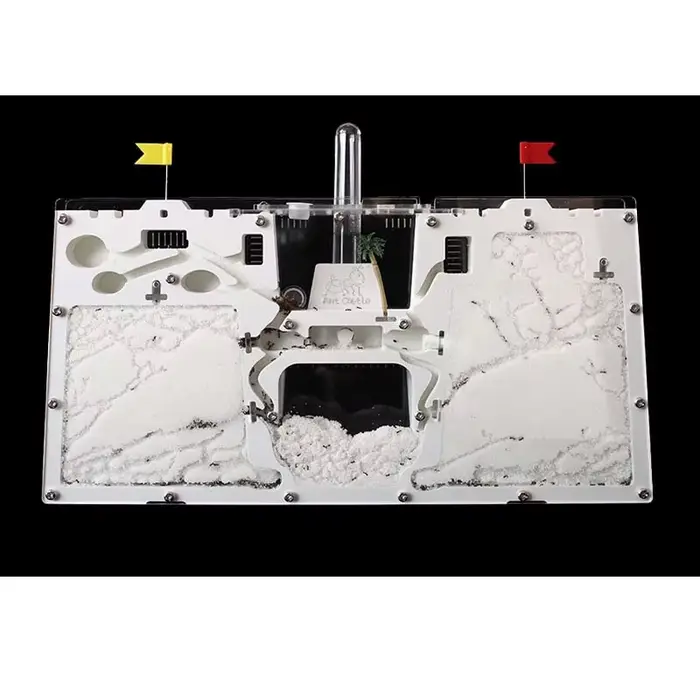 Grande formiche usine fourmis maison château insectes Terrarium fourmi Cage insectes boîte pépinière écologique enfant modèle éducatif