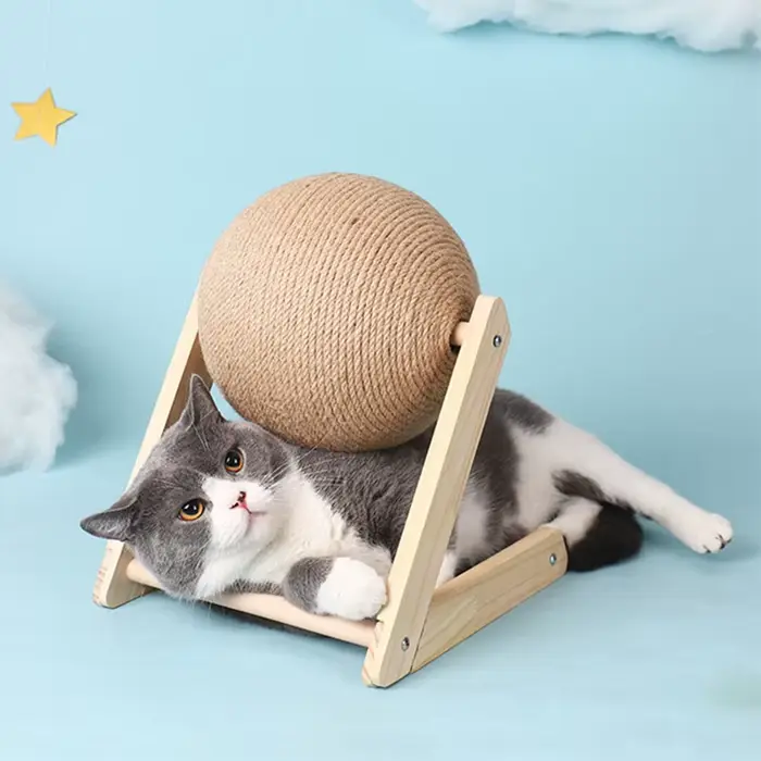 Jouets en Forme de Balle pour Chat