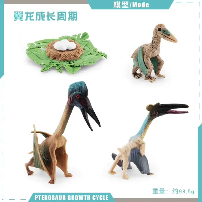 Modèle de dinosaure du cycle de vie, jouet éducatif pour enfants, cycle de vie des animaux, jouets M