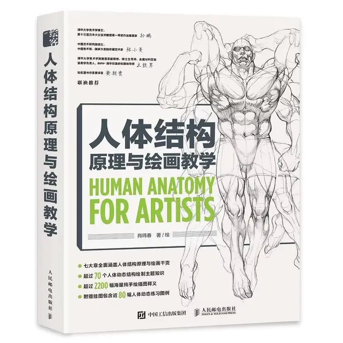 Enseigner les principes de la Structure humaine et le jeu de dessin, livres de modélisation de la St