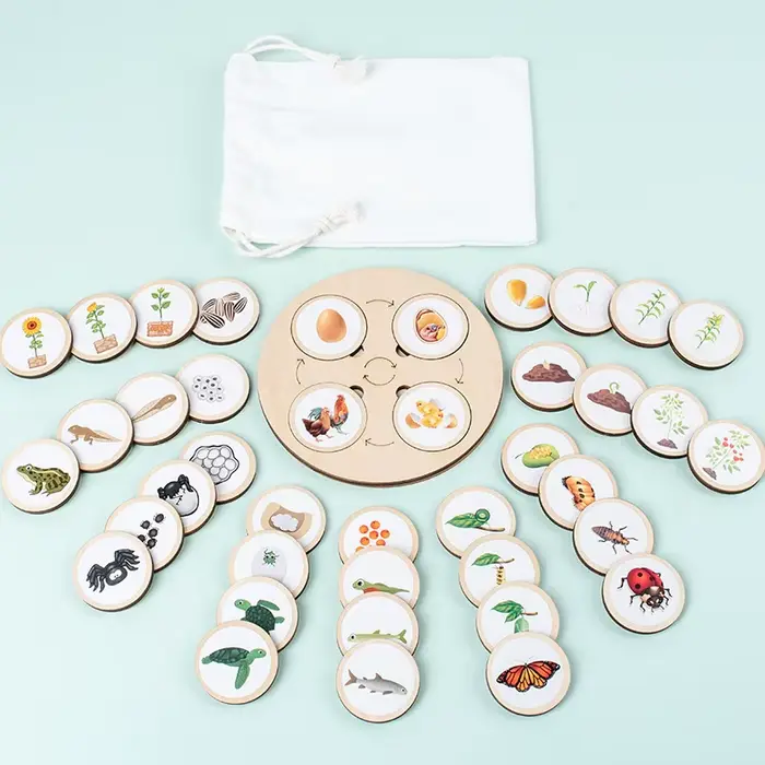 Life SubsiderBoard Montessori Kit Jouets éducatifs en bois pour enfants, Biologie, Science, Escalade