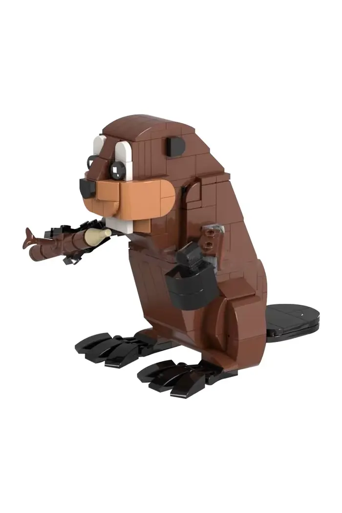221530 Blocs de construction Castor Mignon