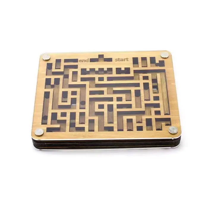 Labyrinthe en Bois à Deux Couches, Jeux de Défi QI, Puzzle, Casse-Tête, Jouets