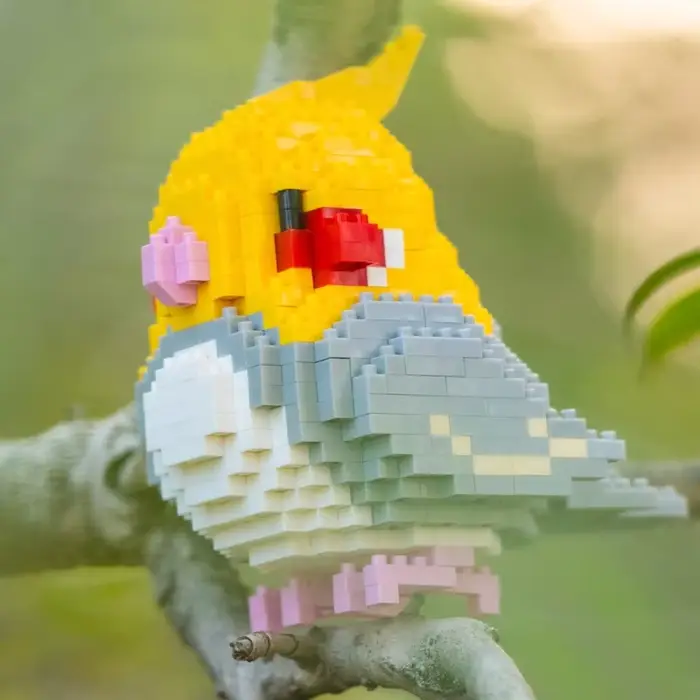 Jouets enfants monde animal perroquet gris calopsitte poupée animale modèle 3d mini blocs construction bricolage ABS plastique occaions cadeaux anniversaire noel projet scolaire activités famille