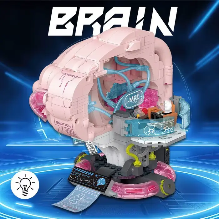 Ensemble de Construction Médicale Blocs Cérébraux Lumineux Animaux Nature Jouets Éducatifs pour Enfants Adolescents Étudiants Occasions Spéciales
