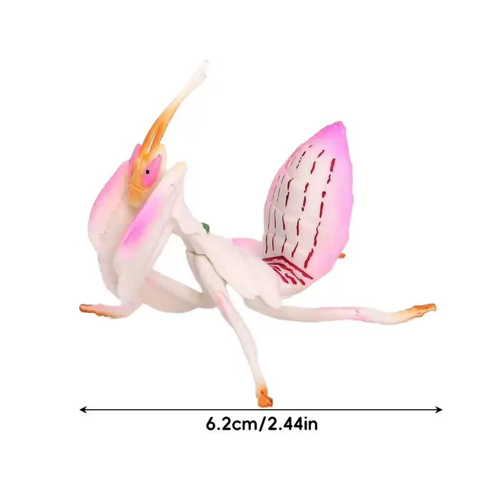 Figurine d'insecte réaliste Mantis sauterelle, Collection de jouets éducatifs pour enfants, fournitu