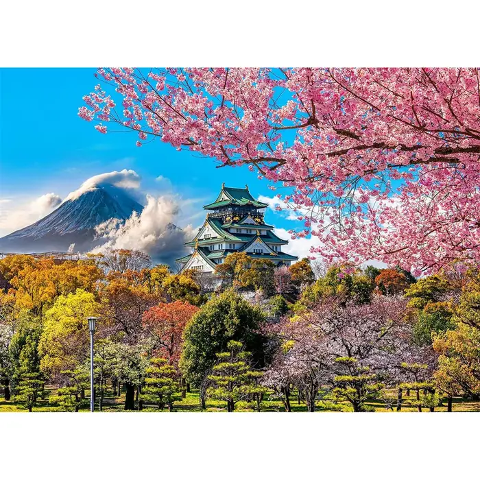 Puzzles 1000 pièces pour adultes fleurs de cerisier dans le château Osaka