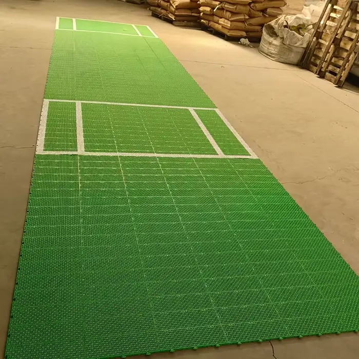 Tapis de terrain de cricket instantané, dalles de sol pour terrain de cricket