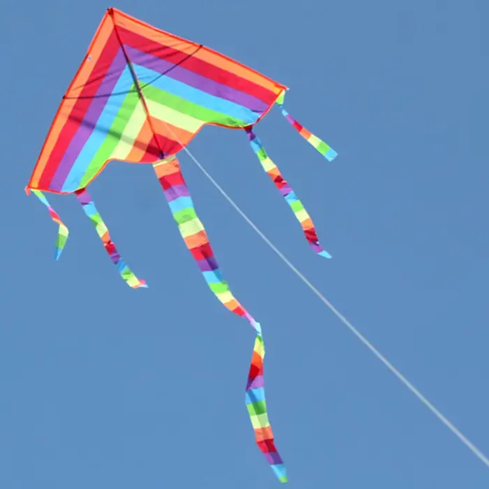 Easy Fly-Cerf-volant coloré arc-en-ciel pour enfants