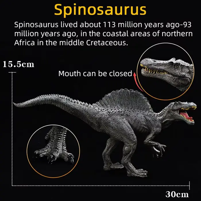 Figurine de dinosaure jurassique, Spinosaurus, modèle de tyrannosaure à bouche ouverte, Collection d