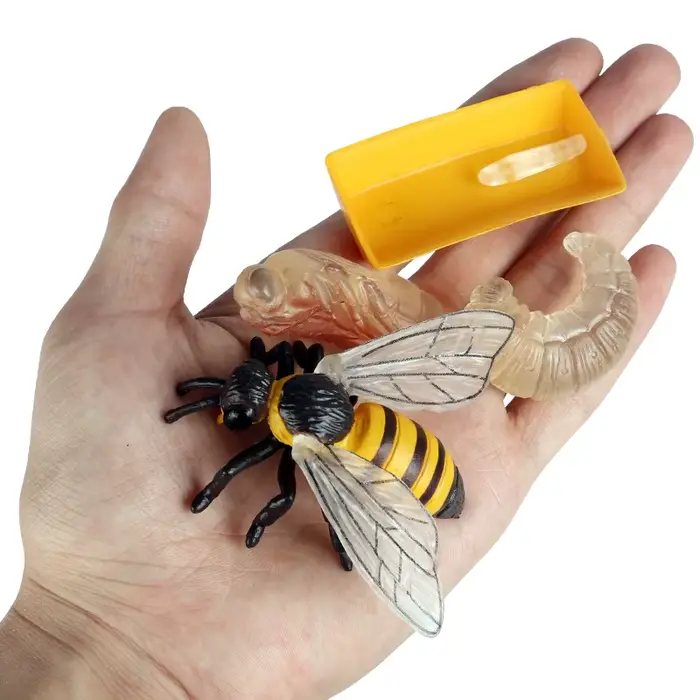 Oenux Simulation Luna papillon saumon fourmis Cycle de croissance de la vie animaux modèle figurines